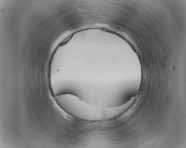 X0000062891054200602031802