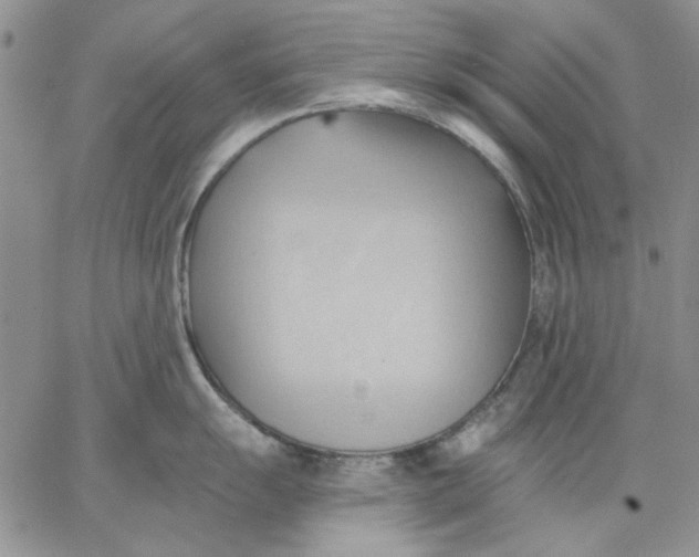 X0000062891055200602031802