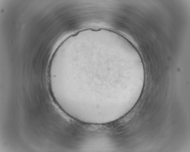 X0000062891056200602031802