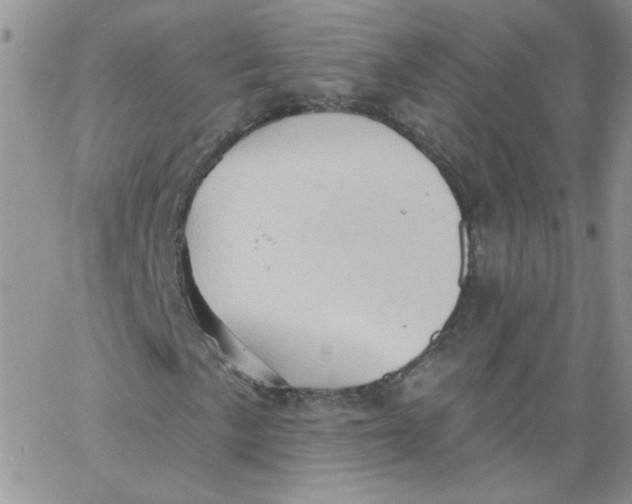 X0000062891057200602031801