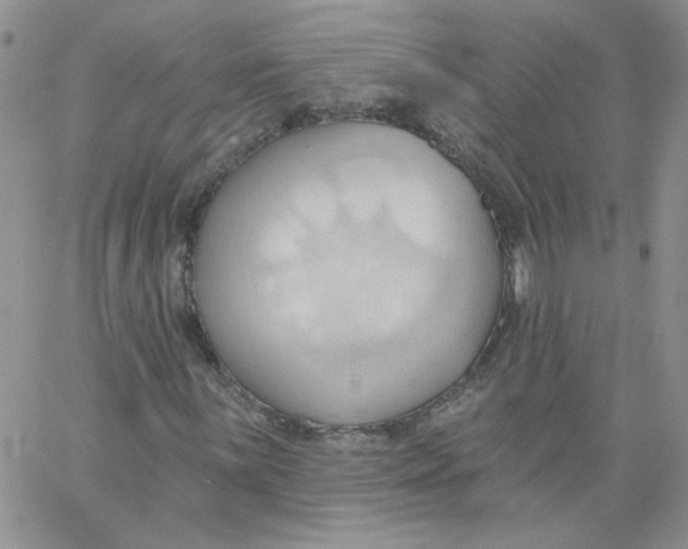 X0000062891059200602031801