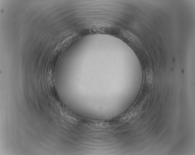 X0000062891060200602031801