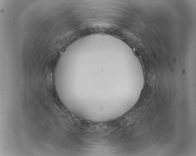 X0000062891061200602031801