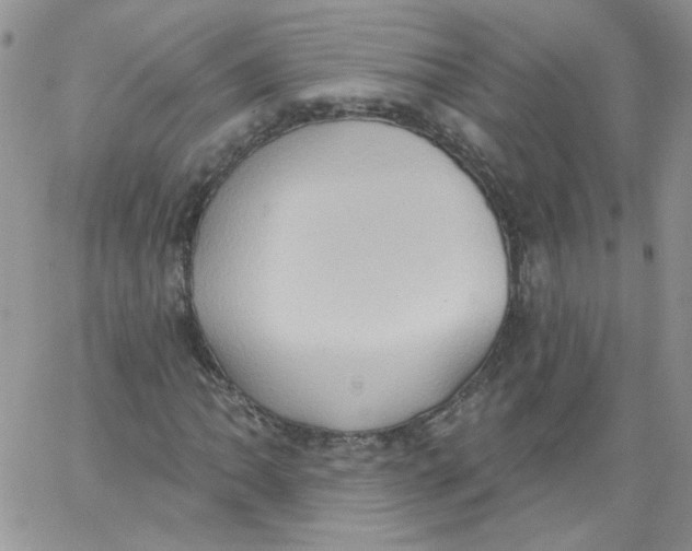 X0000062891062200602031801