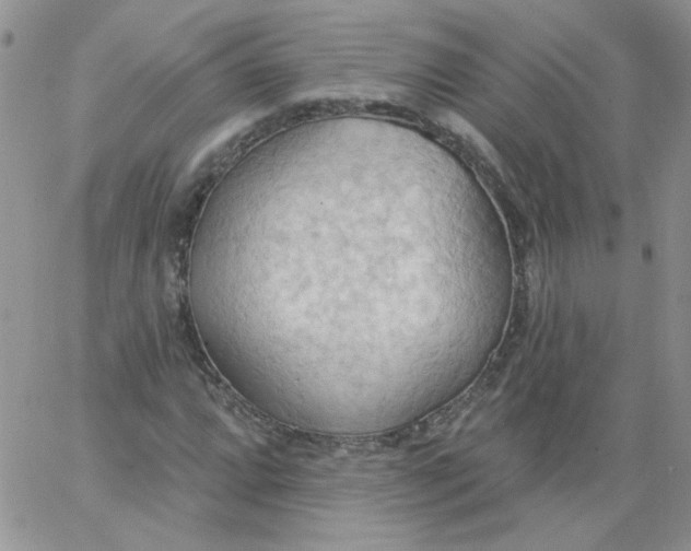 X0000062891064200602031801