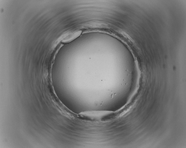 X0000062891065200602031801