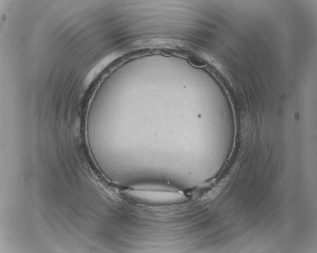 X0000062891066200602031801