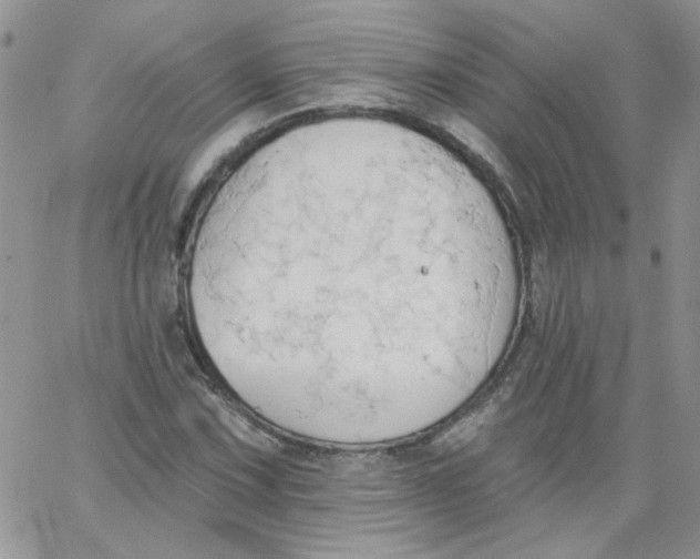 X0000062891067200602031801