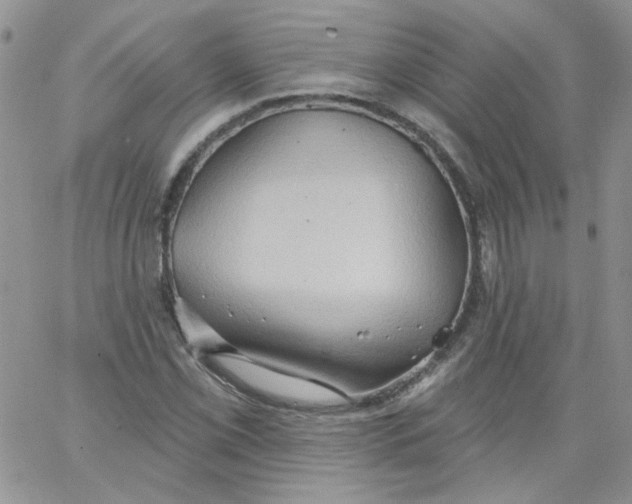 X0000062891069200602031801