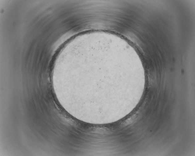 X0000062891070200602031801