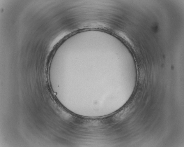 X0000062891071200602031801