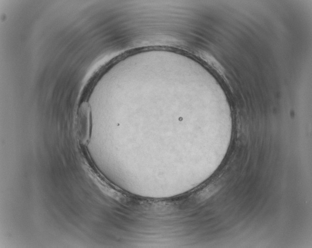 X0000062891072200602031801