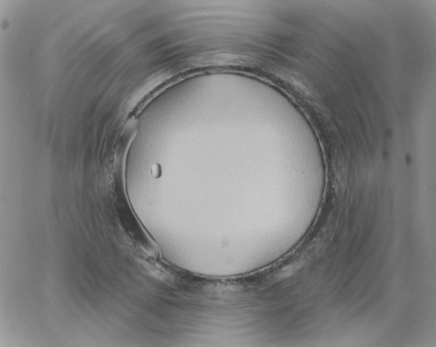 X0000062891073200602031801