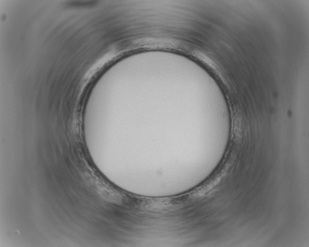 X0000062891074200602031801