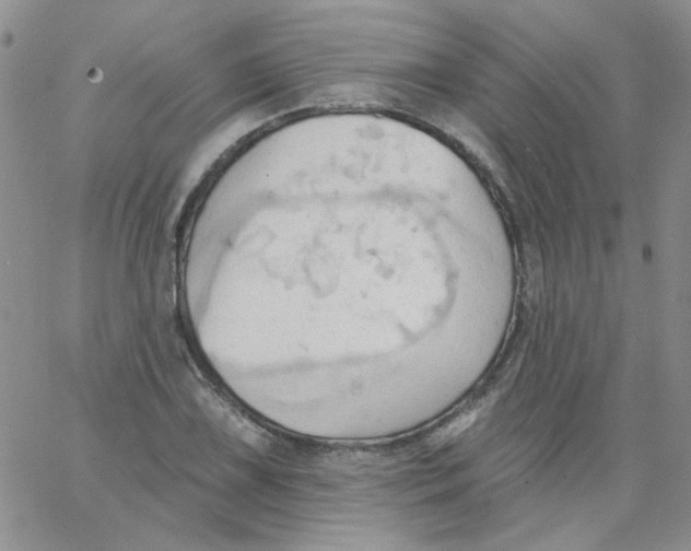 X0000062891075200602031801