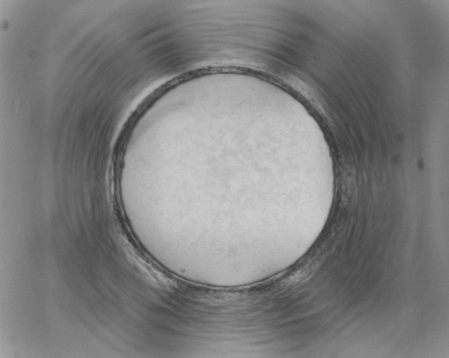 X0000062891076200602031801