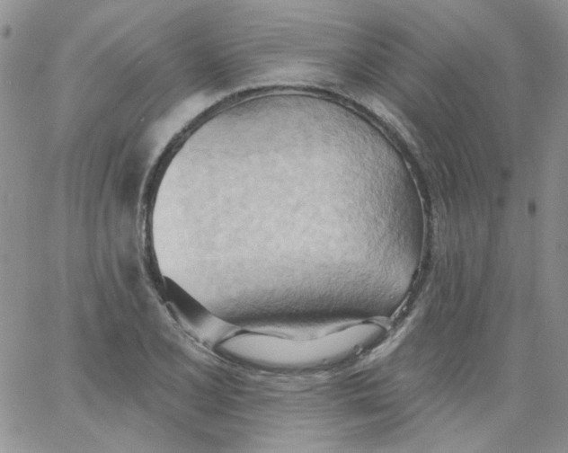 X0000062891077200602031801