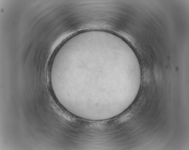 X0000062891078200602031801