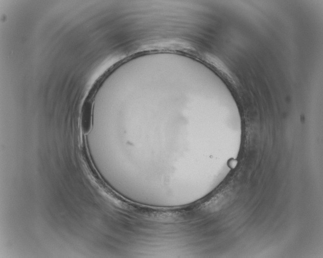 X0000062891079200602031801