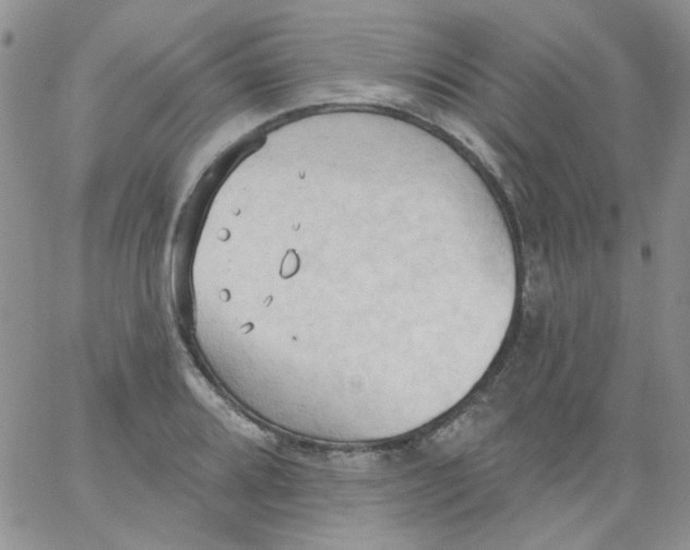 X0000062891080200602031801