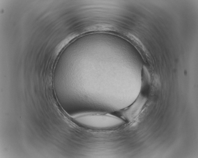 X0000062891081200602031801