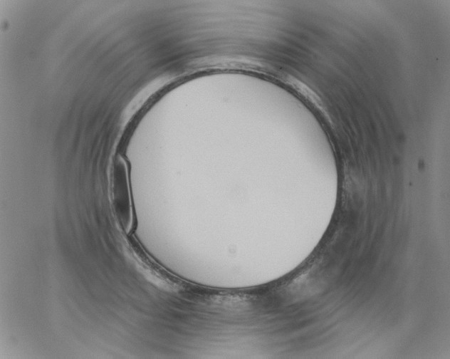 X0000062891082200602031801