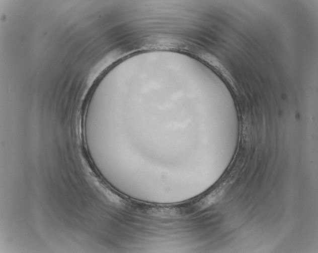 X0000062891083200602031801