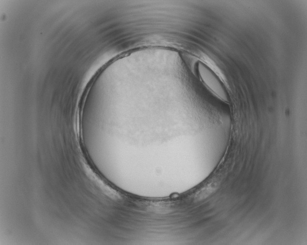 X0000062891084200602031801