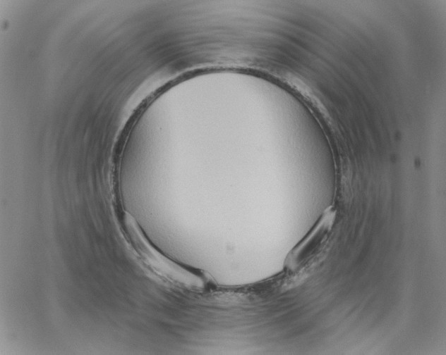 X0000062891085200602031801