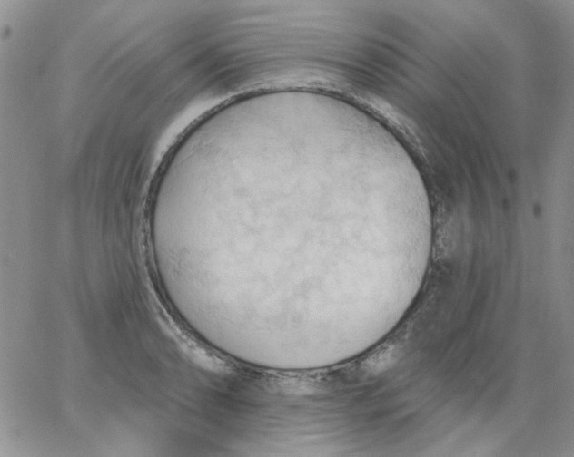 X0000062891086200602031801