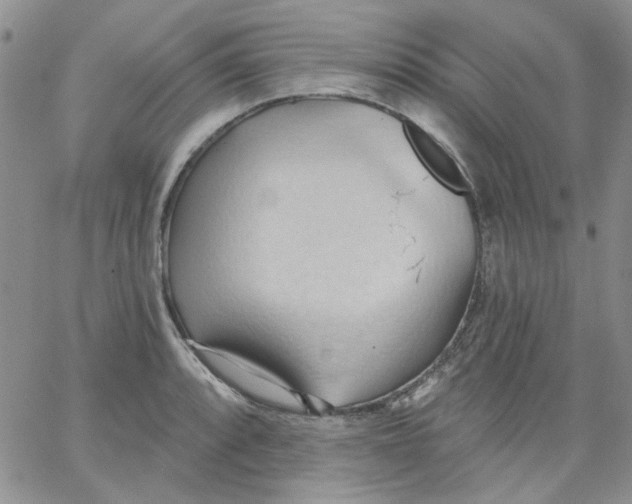 X0000062891088200602031801