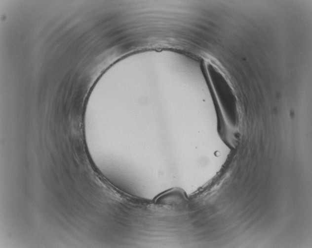 X0000062891089200602031801