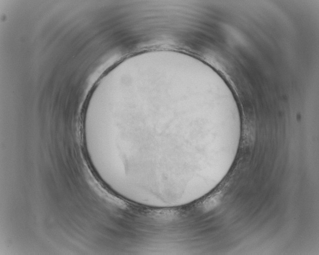 X0000062891090200602031801