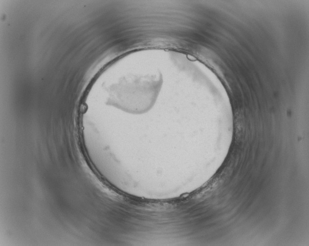 X0000062891091200602031801