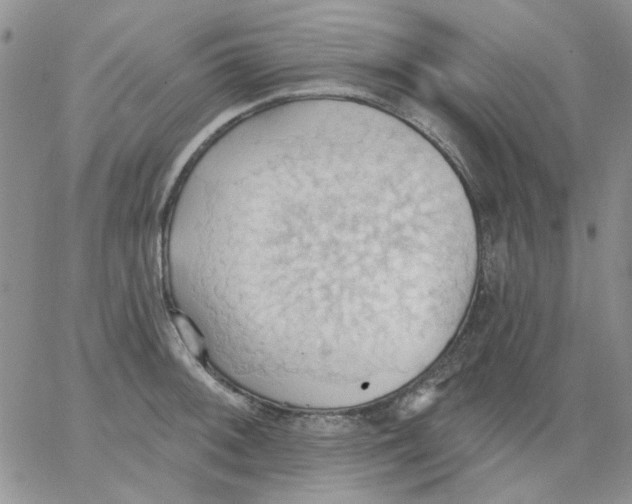 X0000062891092200602031801