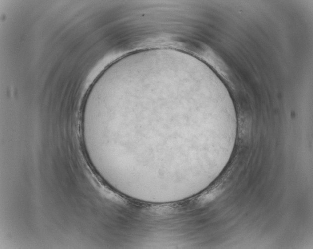 X0000062891094200602031801