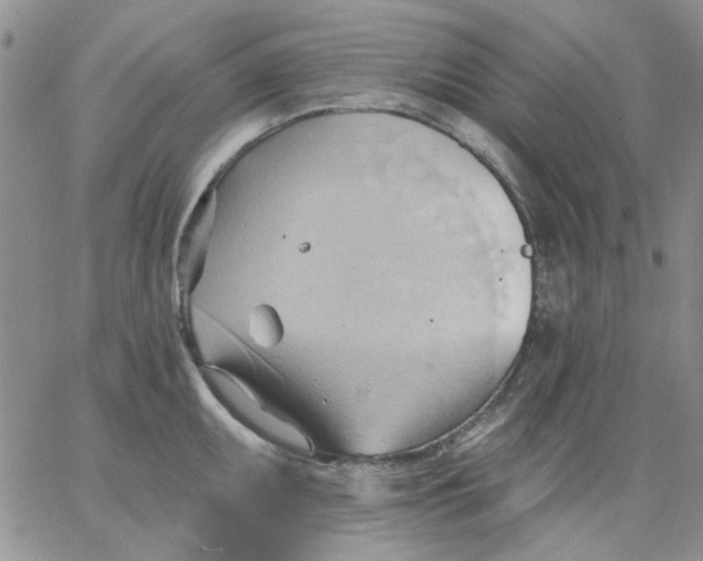 X0000062891095200602031801