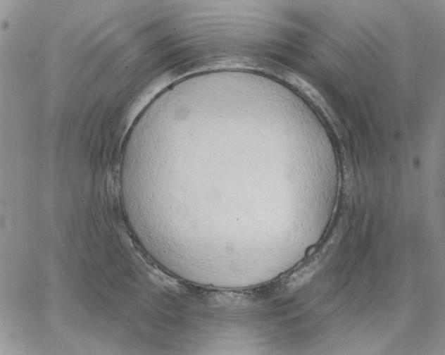 X0000062891097200602031801