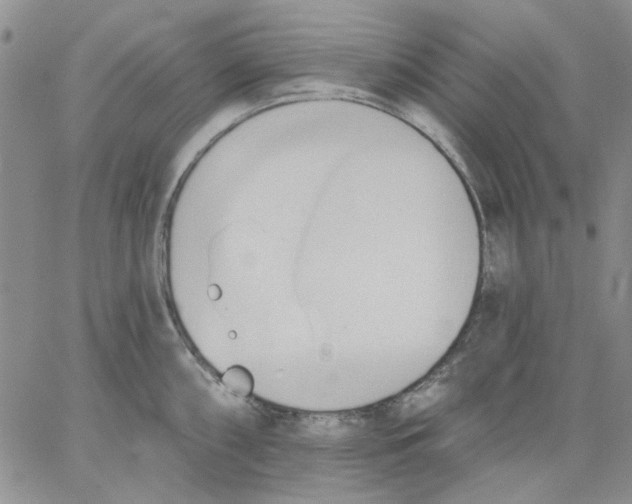 X0000062891098200602031801