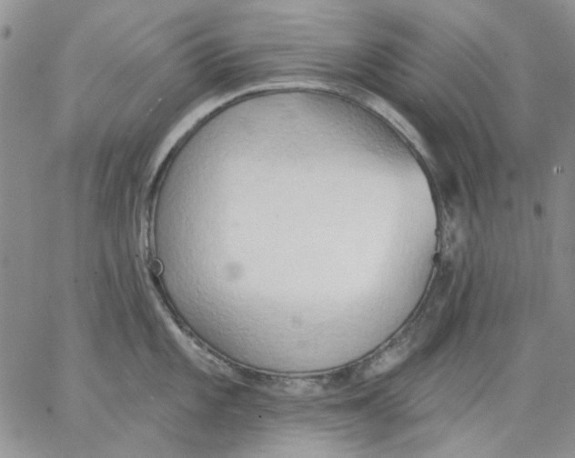 X0000062891101200602031801