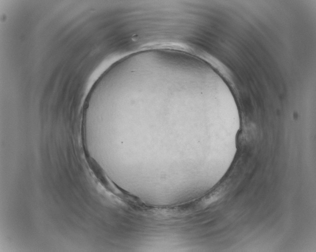 X0000062891102200602031801