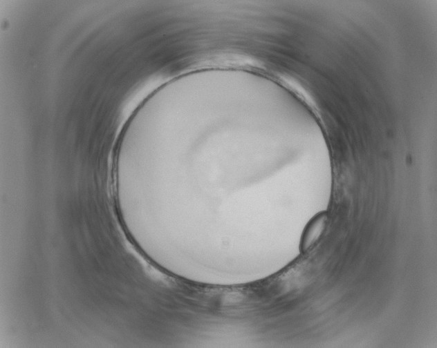 X0000062891103200602031801