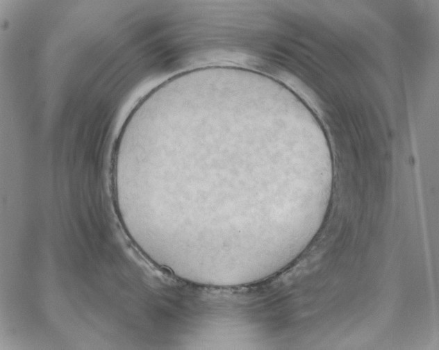 X0000062891104200602031801