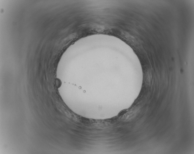 X0000062891105200602031800