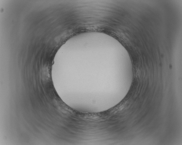 X0000062891106200602031800