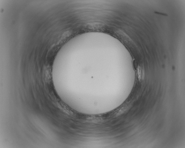 X0000062891107200602031800