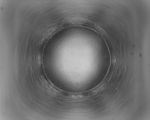 X0000062891108200602031800