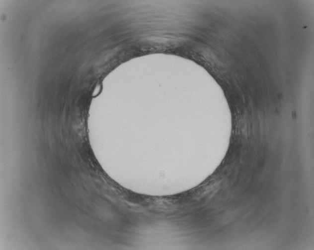 X0000062891109200602031800