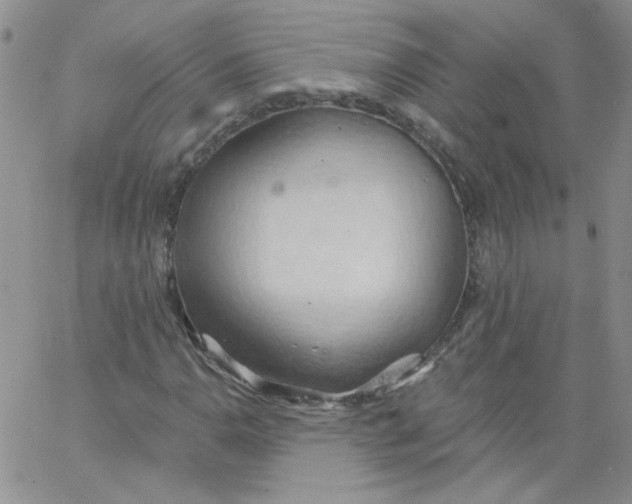 X0000062891110200602031800