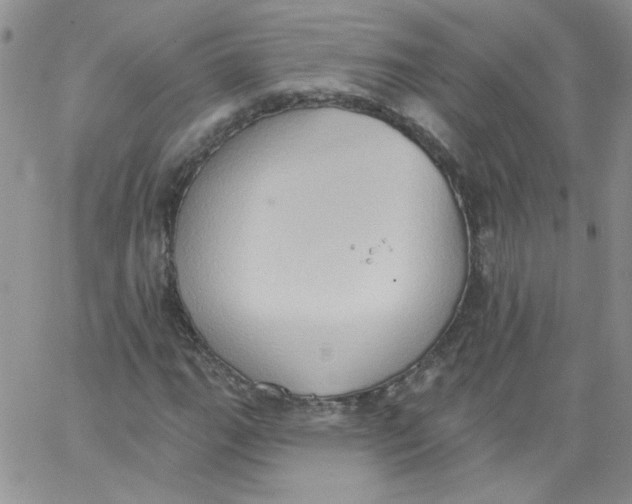 X0000062891111200602031800